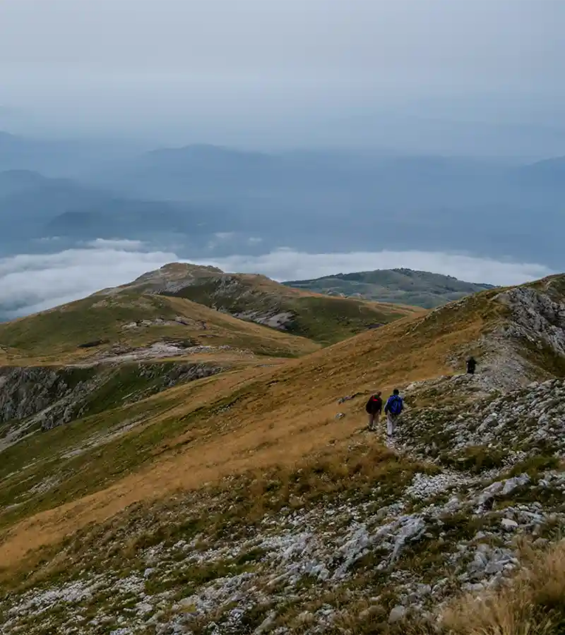 Setnja Brezovicom u prolece i jesen je vrlo zdrava